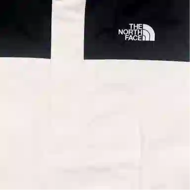THE NORTH FACE logo
