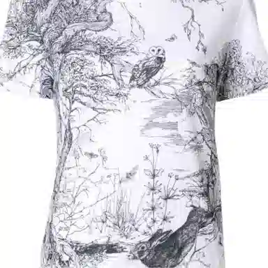 Alexander McQueen AW17 T