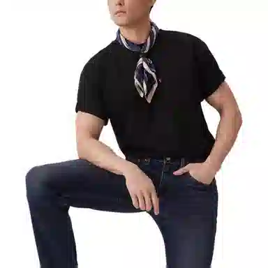 levis T