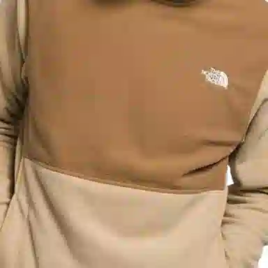 THE NORTH FACE polartec Alpine Polartec