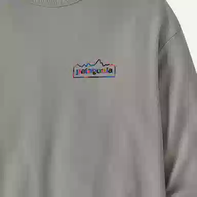 patagonia Lightweight Unity Fitz Wildrise Crew