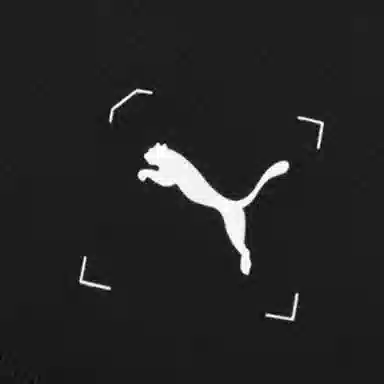 Puma Nu-tility logo