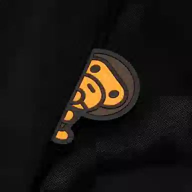 Aape T