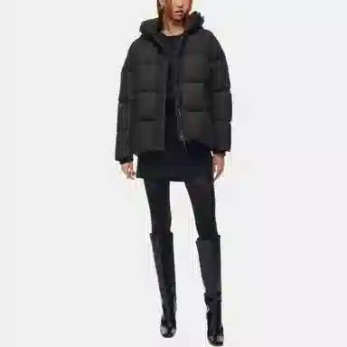 ARITZIA Babaton Crown Puffer