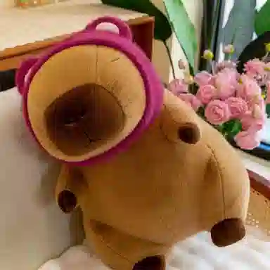 万童乐 丑萌变身水豚 草莓熊水果头套卡皮巴拉 玩偶 毛绒公仔