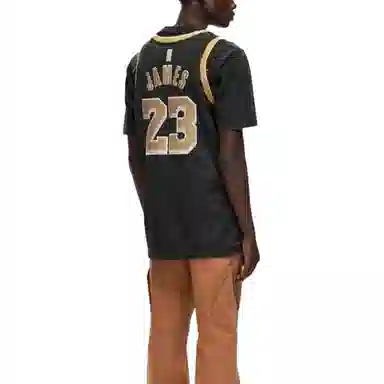 Nike x NBA LeBron James Los Angeles Lakers 2024 Select Series