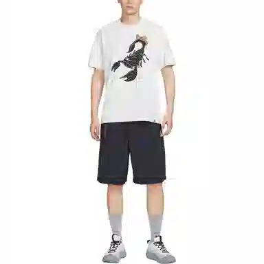 Nike Dri-Fit SS25 AS M ACG OC SCORPION SUMMIT T
