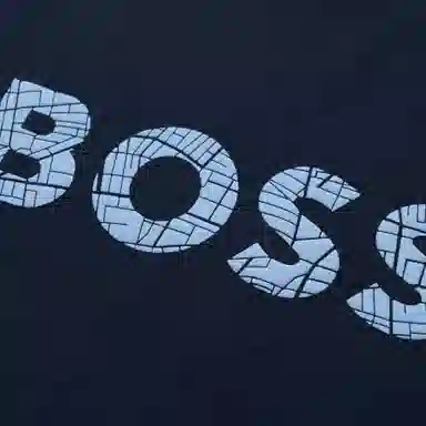 HUGO BOSS T