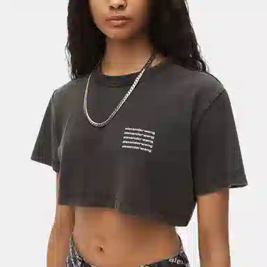 Alexander Wang SS22 Logo Tee Gray