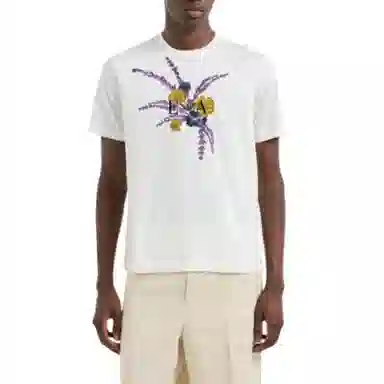 EMPORIO ARMANI SS25 T