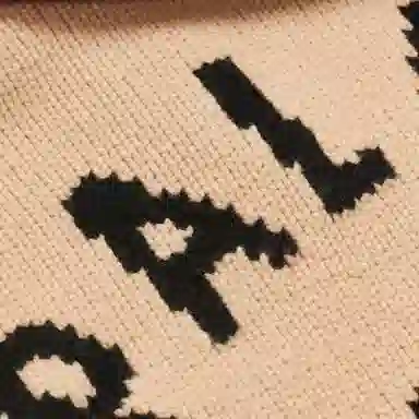 PALACE x EVISU SS24 logo