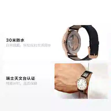 Longines L4.905.1.11.2