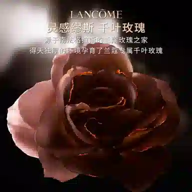 Absolue Hell Of A Rose EDP 100ml