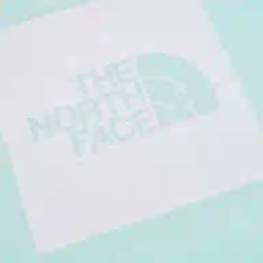 THE NORTH FACE T