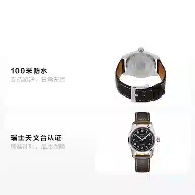 Longines L3.810.4.53.0