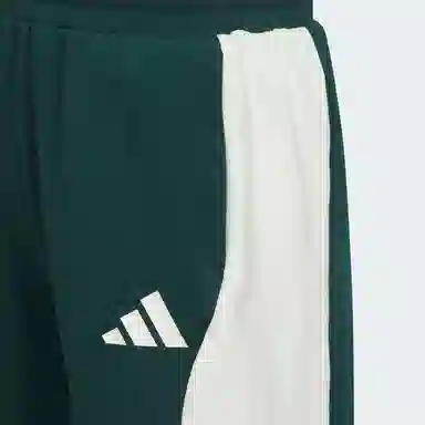 adidas Sportswear TRACK CLIMACOOL 2