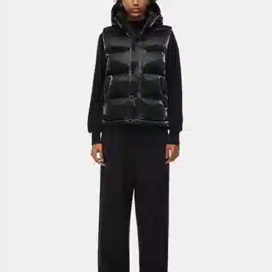 Aritzia Super Puff Liquid Shine