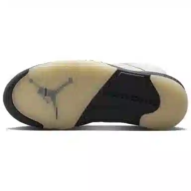 Jordan Air Jordan 5 Beige
