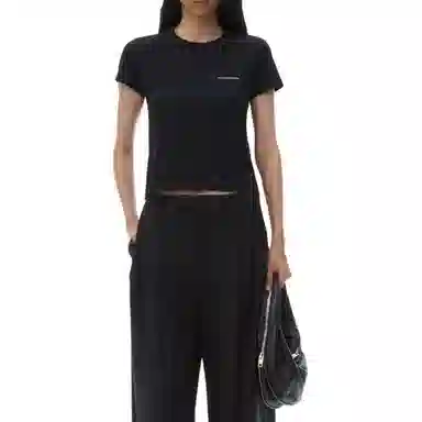 alexander wang FW22 LogoT