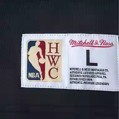 Mitchell Ness NBA logo