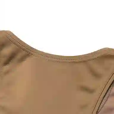 Gucci x The North Face FW21 Vest Brown