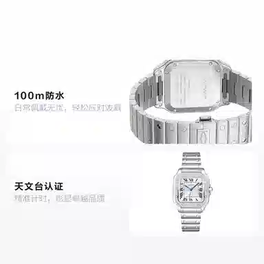 Cartier Santos W4SA0005