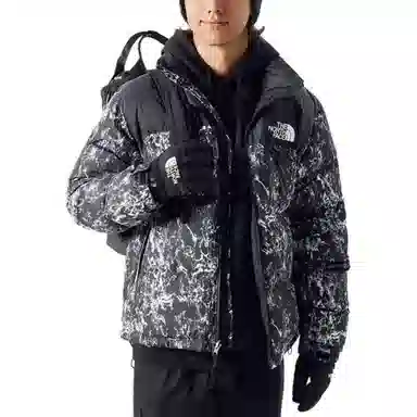 The North Face Novelty Nuptse