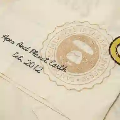 Aape logo IVN