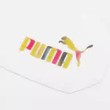 Puma Skb Pocket Ss Tee