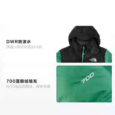 The North Face 1996 Nuptse Green