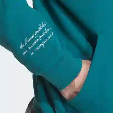 adidas originals VRCT FW24 HD M