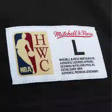 Mitchell Ness x NBA OG Premium T
