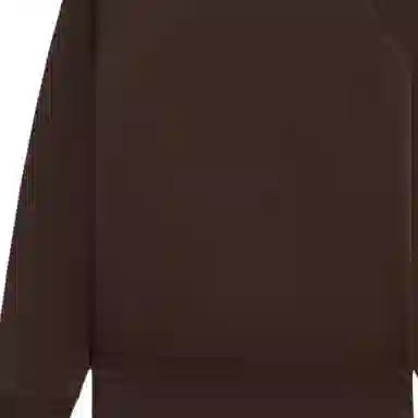 CELINE Triomphe Sweatshirt In Cotton Fleece