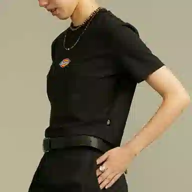 Dickies logoT
