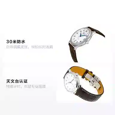 Longines Master Collection L2.628.4.78.3