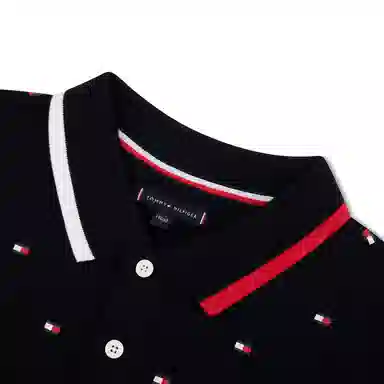 Tommy Hilfiger Polo