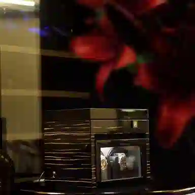 PAUL DESIGN-P.D2+3 G2+3