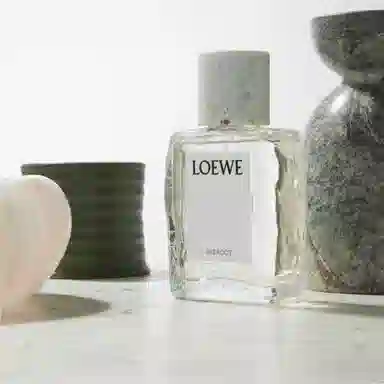 LOEWE IRIS ROOT EDP 100ml