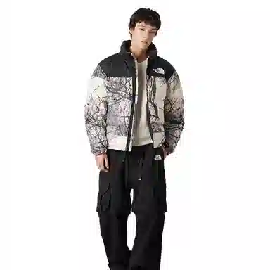 THE NORTH FACE 1996 UE ICON Nuptse 700