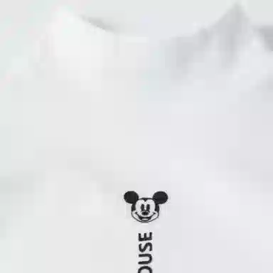Disney T