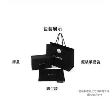CHANEL 25S kelly