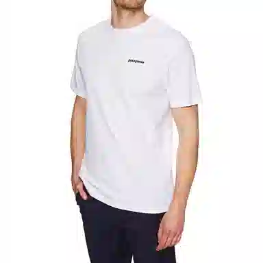 patagonia T