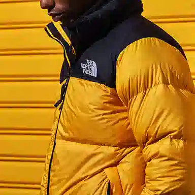 THE NORTH FACE 1996 Nuptse 700