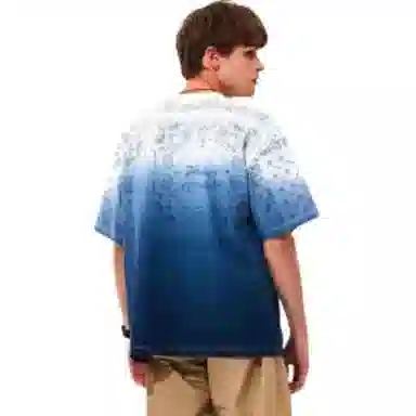 Dickies SS22 T