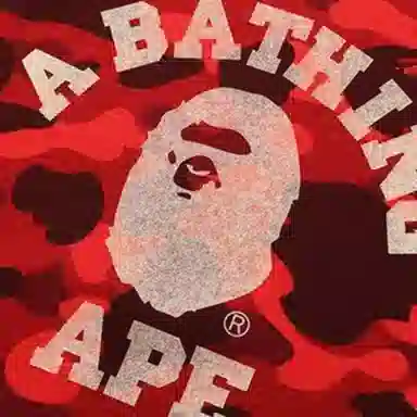 BAPE Camo Crewneck Sweatshirt