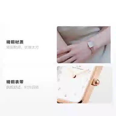 Daniel Wellington PETITE DW00100597