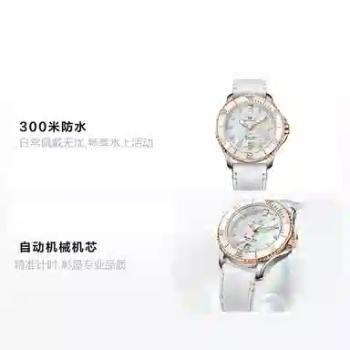 Sea-Gull 219.17.1211