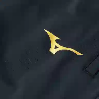 Mizuno Logo