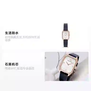 EMPORIO ARMANI 24mm AR11466