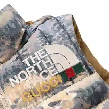 Gucci x The North Face SS22 Floral Down Vest